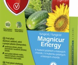 Fungicid Magnicur Energy, 15ml