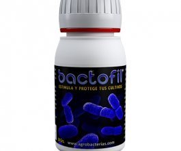 Bactofil - prášková směs bakterií, 50g