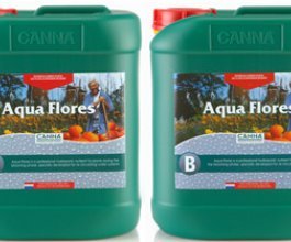 Canna Aqua Flores A+B, 5L